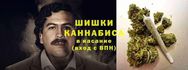не бодяженный Иннополис