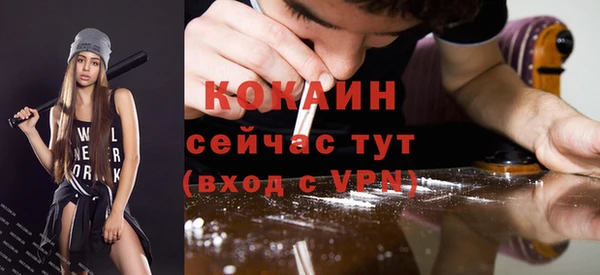 индика Инта