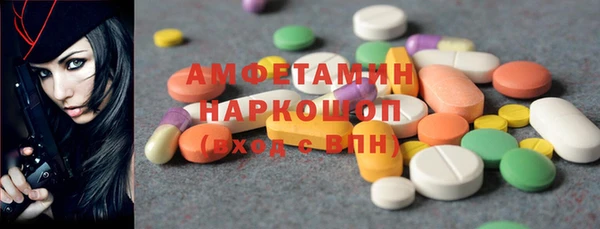 индика Инта