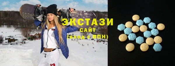 индика Инта