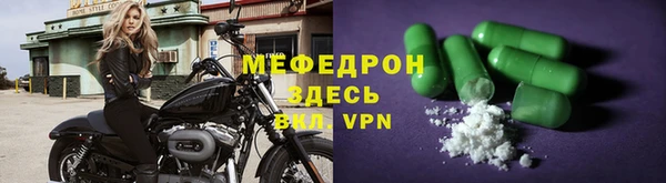 индика Инта