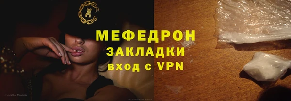 индика Инта