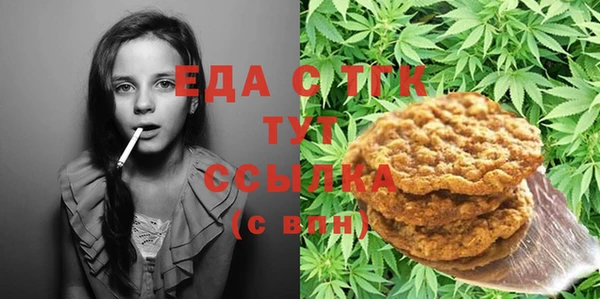 индика Инта