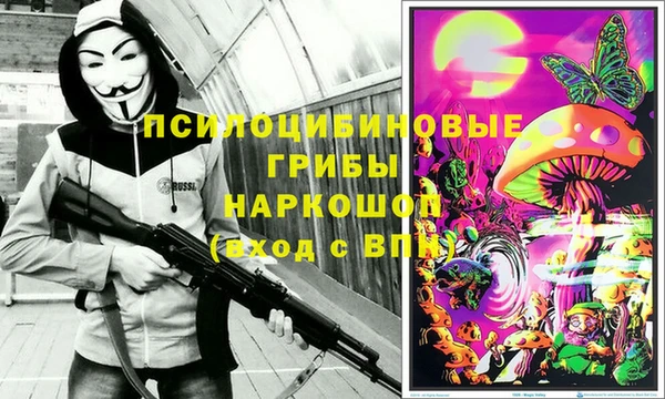 индика Инта