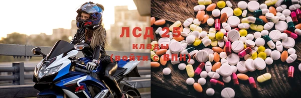 индика Инта