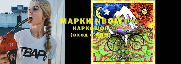 индика Инта