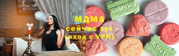 индика Инта