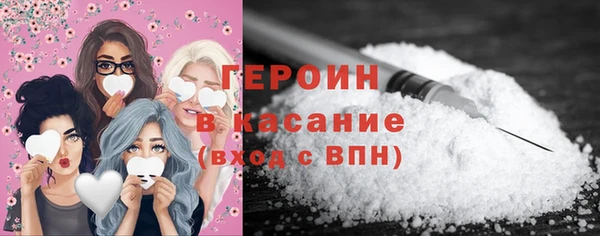 индика Инта