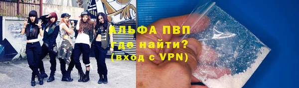 индика Инта